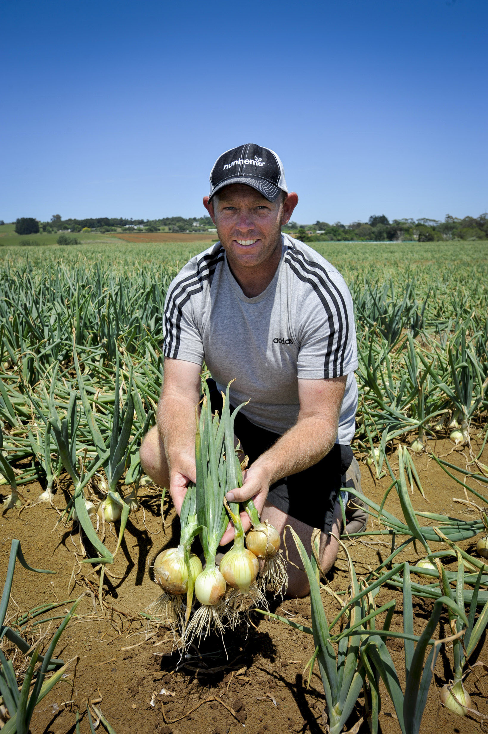 Agronomist Rob Cox says MetWatch can help fungicide use.